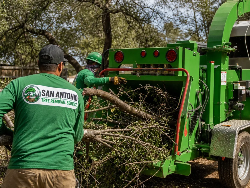 Tree crew loading brush and limbs into a chipper for hauling and cleanup