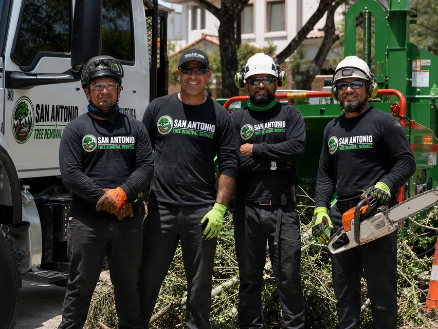Tree removal team wearing PPE beside a work truck and chipper after residential cleanup